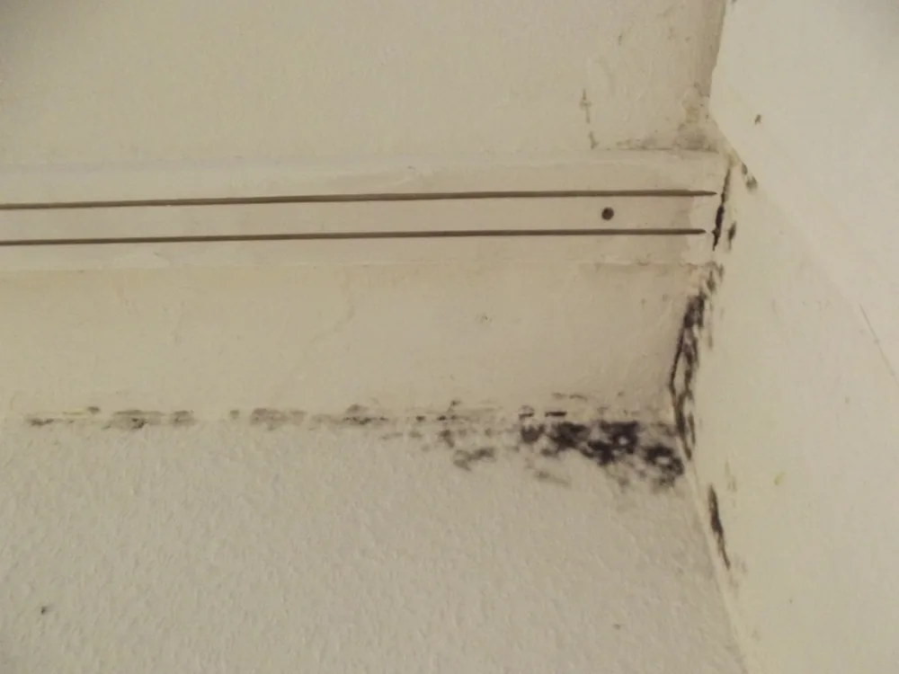 Technician in protective gear removing a mold-damaged wall in a Pawcatuck home